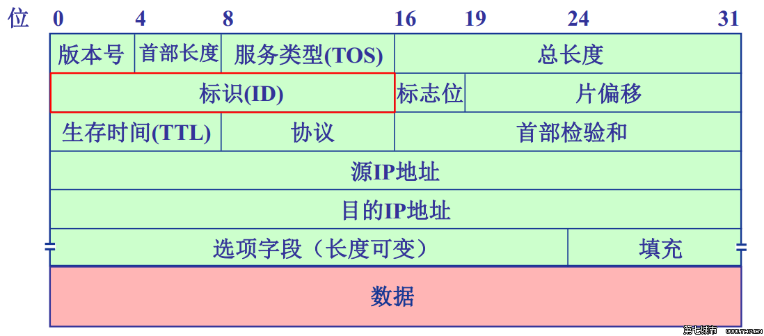 IP数据报头部